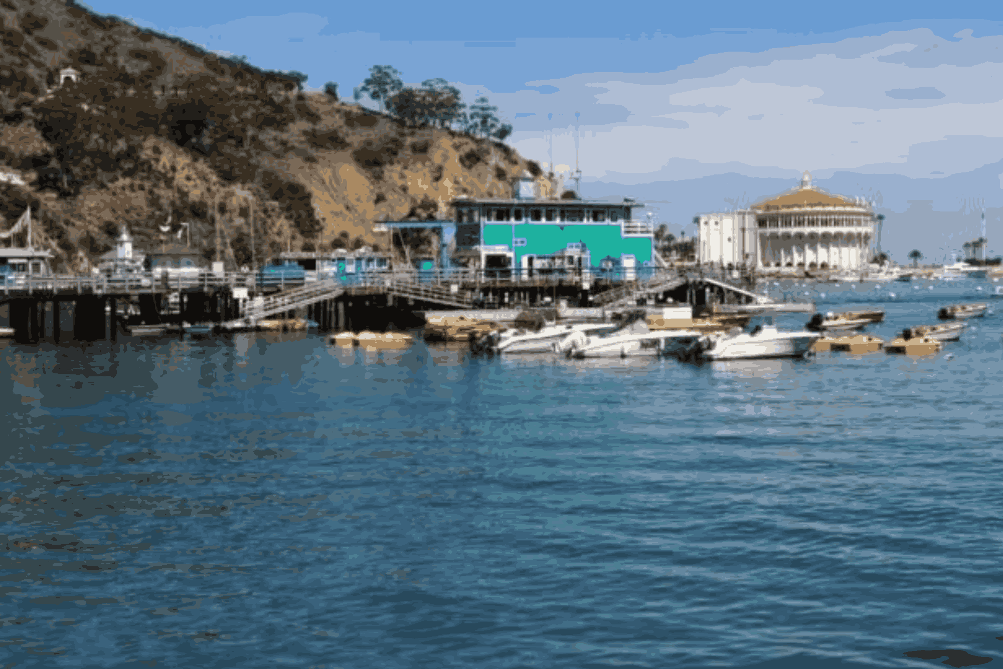 Best Things to Do on Catalina Island