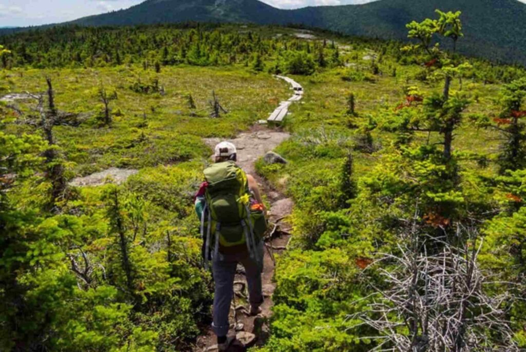 Trail Guide — Hiking Near Abu Dhabi: Routes, Distance & Tips