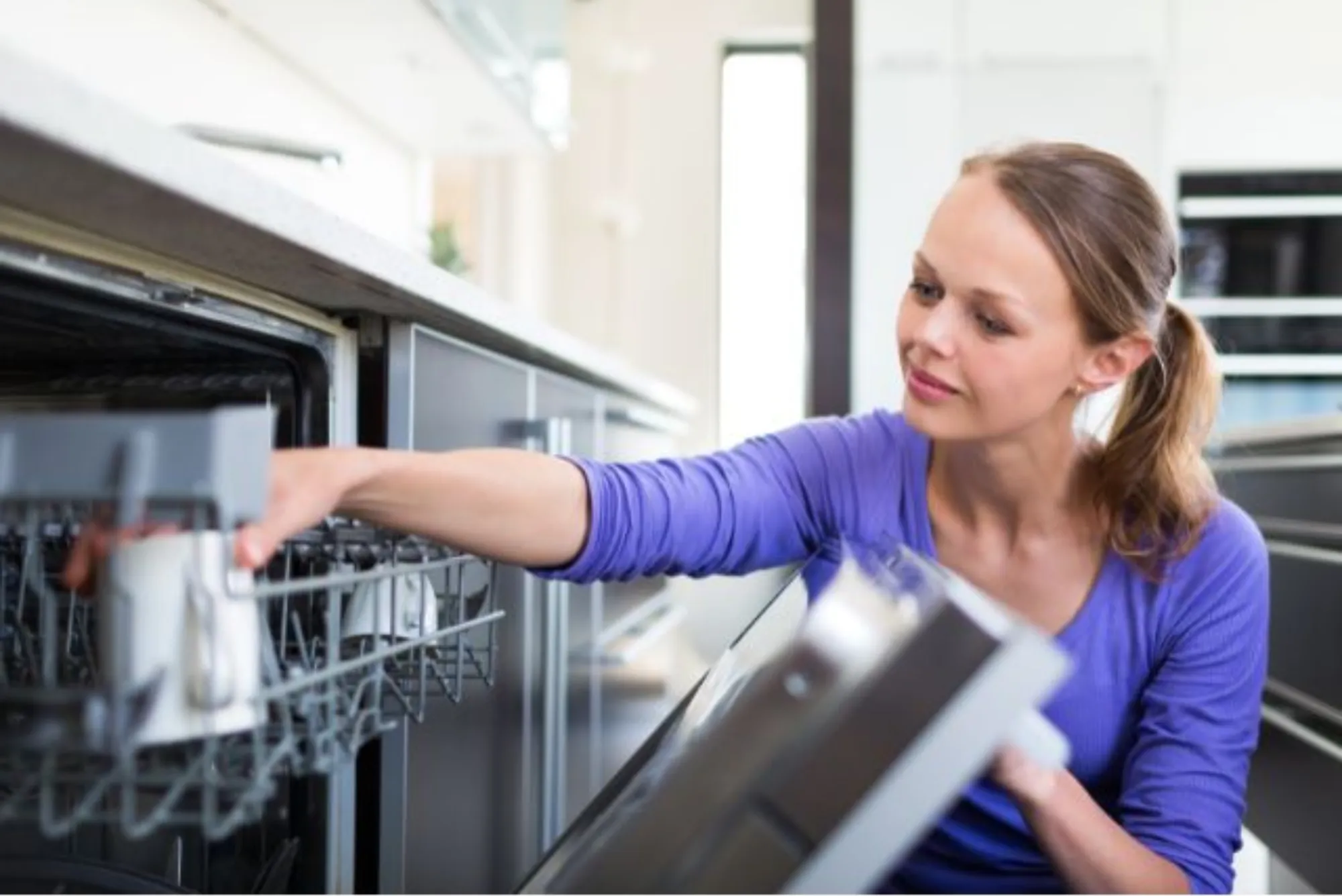Dishwasher Energy Efficiency Service
